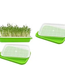 Kshavi - Seed Sprouter Tray with Drain Holes | BPA Free Nursery Seed Germination Tray Healthy Wheatgrass Seeds Grower & Storage Tray for Garden Home Office with Germinating Paper (Pack of 3)-picture-28