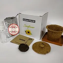 Sunflower Plant Growing Kit with Coir Pot, Organic Soil Mix, Seeds, Instruction Manual-image-60