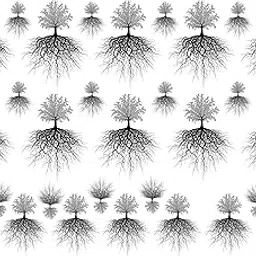 captive decals Rooted Tree of Life Black Fused Glass Decals-picture-36