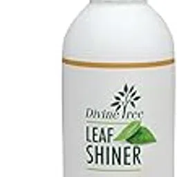 DIVINE TREE Leaf Shiner Spray for Plants - Natural Beauty with a Long-Lasting Shine - Helps clean off Dust & Leaf Glow - Instant Leaf Shine & Protection for Indoor Plants (200ml)-picture-29