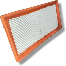 PAANJO Air Filter for Indica, 30 x 15.5 x 4 cm, 1999-2018 Models-picture-34