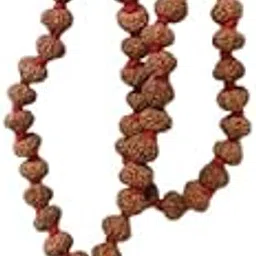 Gyarah Mukhi Rudraksha Mala Original Certified Nepali Authentic Bead 108 Genuine Eleven Faced Hanuman Ji Blessed 11 Mukhi Rudraksha Mala for Men & Women ग्यारह मुखी रुद्राक्ष माला-picture-17