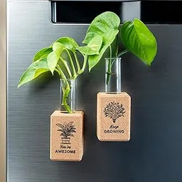 Artmansha Positive Affirmation Fridge Planters| Set of 2 | Tiny Flower Vase| Cute Home Decor | Quirky Birthday Gift| Gift for Friends| Small Size - 7.5 cm-picture-12