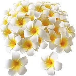 SHIVAMKRAFT 12 Pieces Artificial White Fake Foam Hawaii Frangipani Beach Floating Flowers (White, 12 Pieces)-picture-29