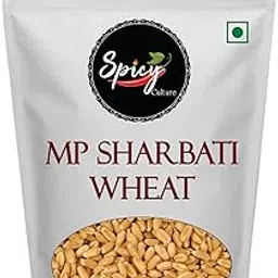 SpicyCulture MP Sharbati Wheat Fresh from Farms 15kg- No Mixture & Preservatives | Premium Sharbati Gehu For Cooking | Gehu Whole Wheat Grains Unpolished Gehu Make Delicious Soft Rotis, Lachha Paratha-image-56