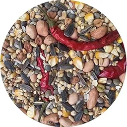 Parrot Food for Indian Parrot and Large Bird 100% Natural Feed, sutaible for All Types of African Grey, Macaw, Hyacinth or Cockatoo and it Have All Types of nutritions That Wants-picture-28