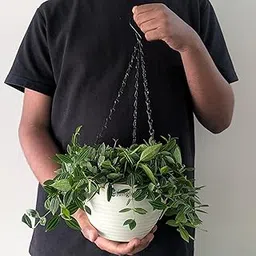 littlejungle Hanging 7 Beige Pots | 7 Inches | Pack of 4 | Pots for Plants | Planters for Home | Indoor & Outdoor | Flower Pot | Home Decor | Terrace Garden |-image-66