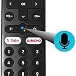 HITORE Remote Control Compatible for Dish TV Smart HUB Android TV with (Voice Supported)- Please Match The Image with Your Old Remote Before Placing The Order-picture-10