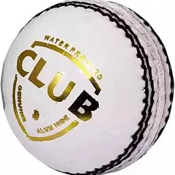 T20 White Leather Cricket Ball, Regulation Size-picture-17
