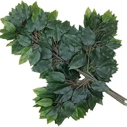 Spoton Hub 12 Pcs Artificial Ficus Tree Leaves Branches | Silk Green Leaves Plants for Wreath Benjamina Tree Indoor Outdoor Porch DIY | Wedding Bouquet Party Farmhouse Wall Decor (Green Color) (12)-picture-21