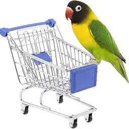 Sage Square Enhance Avian Environments with Miniature Shopping Trolley: Interactive Play & Enrichment, Physical Activity, Vibrant Play Accessory, Designed to Captivate for Budgies, Parrots, Lovebirds-image-24