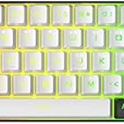 61 Keys RGB BacklitGaming Keyboard, Wired 60% Computer Keyboard Compact Membrane Keyboard Plug and Play Typists USB Wired Keyboard for Laptop and PC (White Black) image 1