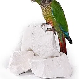 Bird Mineral Block/Natural Calcium Mineral Block for All Birds 250gm / TAIYO PLUSS DISCOVERY-picture-36