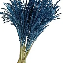 rukda RUKDA® Dried Flower Sheaves || Decoration Dried Flower Sheaves || Stalks Dried Flower Dry Grass Bouquet (Blue 5pcs, Maize Flower)-picture-24