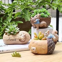 Brotherhood Enterprise Resin Pot Combo Pack of 3 Cute Squirrel Succulent Planter Pot Handpicked Beauty Enhancer Design & Planter Unique Design Succulent Pots polyresin Pot Imported Without Plant-picture-22