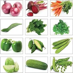 Rainy season vegetable seeds combo (300 seeds)-picture-25
