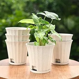 Eha Earth Friendly Ace 5 inch Small Self Watering Pots for Indoor Plants | Set of 6 | Plant Pot Made with Bamboo Fibers | Table Top Planters for Home Decor, Flower Pot for Living Room | Sand Castle-image-2