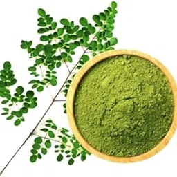Organic Moringa Powder | 100% Pure & Natural | Rich in Vitamins, Minerals & Antioxidants | Supports Immunity & Energy | Non-GMO, No Preservatives 5 KG-picture-21