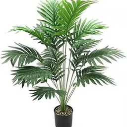 HTPERBOLES Artificial Areca Palm Plant Without Pot | Home, Office, Living Room Decor Indoor/Outdoor (Green, Height- 75 cm)-picture-17