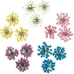 SOWUNO 60PCS Real Dried Flower Creative DIY Nail Art Flower for Beginners Real Dried Flower for Phone Case Nail Art Flower for Women Dried Flower-image-59