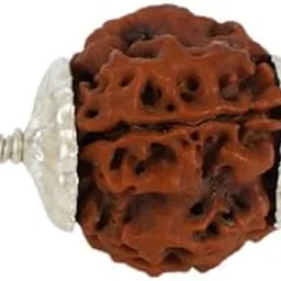 Panch Mukhi Rudraksha Pendant 5 मुखी रुद्राक्ष Five Mukhi Rudraksha Original Round 5 Mukhi Rudraksh Pure Five Face Rudraksh Lab Certified-image-29