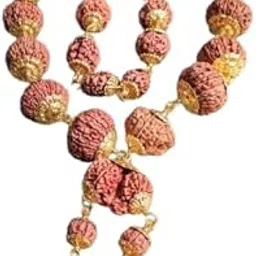 Indrani Mala With Trijuti Gold Capping Blessings Of All Deity 1 To 21 Mukhi Nepali Rudraksha Premium Indrani Mala Original Certified इन्द्राणी माला के साथ गौरी शंकर गणेश रुद्राक्ष-image-9