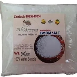 EPSOM SALT - 250gms (Pack of 2)-image-35