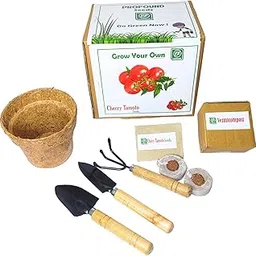 Profound Grow Your Own Cherry Tomatoes with Our Eco-Friendly Pot and Gardening Kit Best Return Gift For Birthday Anniversary-image-19