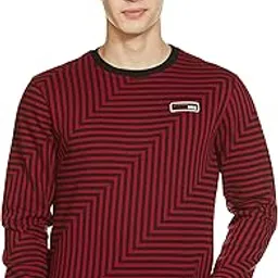 the indian garage co Men Regular Fit Striped Crew Neck Overhead Sweatshirt-picture-25