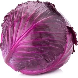 Audbhidhi Vegetable Seeds | Red Cabbage Seeds | Red Cabbage Vegetable Seeds | Red Cabbage fresh vegetables| Red Cabbage Seeds Hybrid F1 | Red Cabbage Hybrid Seeds pack of 50 seeds image 1