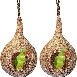 Organic Bird NEST Large Size, Set of 2 Purely Made by Bird Building Technique Bird House (Hanging, Wall Mounting, Tree Mounting) (Pack of 2)-picture-29