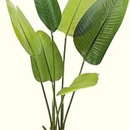 Dekorly 1 Pc 3'5 ft Artificial Banana Leaf Plant with Pot for Home Decor| Balcony | Garden| Bedroom| Living Room| Wedding Decoration (6 Leaves)-picture-23
