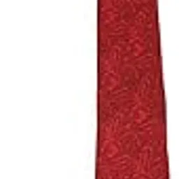 van heusen Men Tie-picture-16