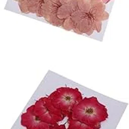 LICHTS® 20 Pieces Mixed Pressed Dried Sakura Flowers Cherry Blossom Rose Flowers|Crafts | Home Arts & Crafts | Floral Crafts | Dried Botanicals & Potpourri-picture-36