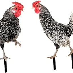 Creations 2X Acrylic Garden Chicken Stake Novelty Garden Sign for Outdoor Pathway Yard-image-27