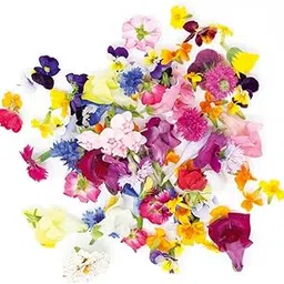 Fresh Edible Flower Mix, 25g Pack-picture-12