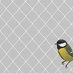 Diamond-Cut Bird Net for Balcony, Windows, Terrace & Garden | White UV-Resistant Nylon Safety Netting for Pigeon & Bird Protection (10 X 15 FT, White)-image-60
