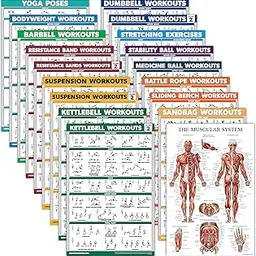 18 Pack - Exercise Poster Set: Dumbbell, Suspension, Kettlebell, Resistance Bands, Stretching, Bodyweight, Barbell, Battle Rope, Yoga, Exercise Ball, Muscular and More (LAMINATED, 18" x 27") image 1
