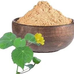 Zone Marketing Organic Thuthi Elai Powder/துத்தி இலை பவுடர் - 100 gm-picture-51