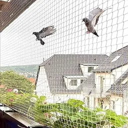 Bird Net | Nylon Bird Control Net | Child Protection | Anti Bird Net | Net for Pigeon & Monkey for Balcony 6X10 Feet-picture-50