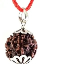 BluDiamond Certified 6 Mukhi Rudraksha 6 मुखी रुद्राक्ष Chhah Mukhi Rudraksha With Silver Pendant Six Mukhi Rudraksha Original छह मुखी रुद्राक्ष Shivratri Puja 6 Face Rudraksha-picture-11