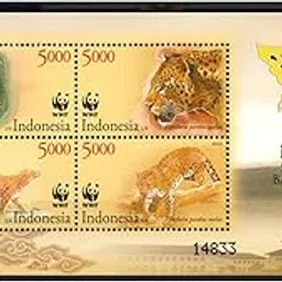 Indonesia 2014 4 Nations Wild Cat Miniature Sheet MNH Stampbazar-picture-24