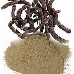 BSD Organics HerbY Healthy Gut Powder of Kutki/Piccorrhiza Kurroa/Kardi - 100 Grams-picture-35