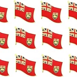 world flags direct Pack of 12 Manitoba Flag Lapel Pins, Enamel Tie & Hat Pin Badges for all Canadian Provinces, 12 Flag Lapel Pins, Metal, no gemstone-picture-32