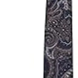 van heusen Men Navy Embroidered Party Tie-picture-35