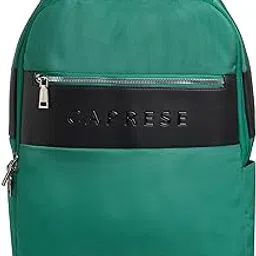 caprese Jupiter 20L Laptop Backpack Large | Stylish Color Block Business Bag | 3 Compartments with Padded Laptop Sleeve | Front & Side Pockets | Spacious & Durable Travel Backpack for Women-picture-16