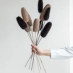 Flowers and Fillers || Decorative Brown& Black Luffa Sticks |Natural Dried Flower |Eco-Friendly Flowers for Home,Office,Bedroom,Table Decoration and Craft Items Corner (Without Vase Pot)-image-49