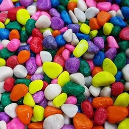 Garden Nest Multicolor Decorative Pebbles/Stones for Plants, Pots, Vase Fillers, Aquarium, Fish Tank, Garden Decor – Smooth, Polished Gravel (Natural Look) (MultiColor, 1-KG)-picture-10