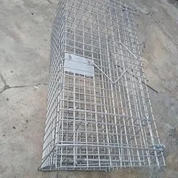 Fox Trap Cage - Good to Trap or Catch Fox Monkey Automatic Door Closer *Birds' Park*-image-43