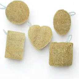 Natural Loofah Bath Sponges Pack of 5 | Eco-Friendly Exfoliating Body Scrubber with Hanging Loop | Biodegradable Shower Sponge for Men & Women | Available in Heart,Oval,Round,Square & Rectangle Shapes-picture-37